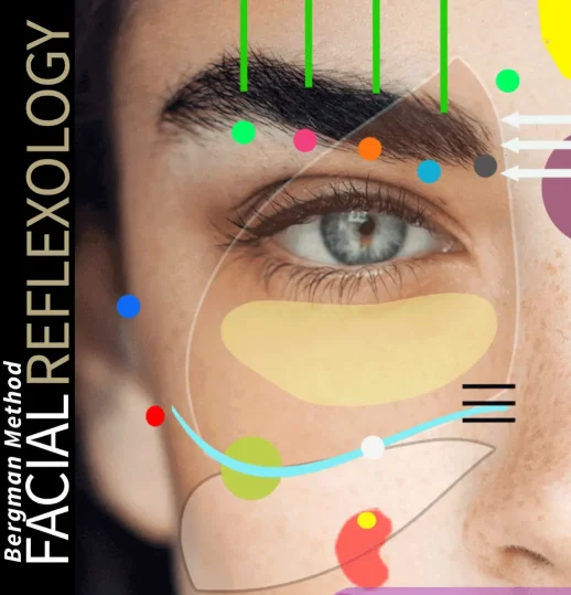 New_Facial_Reflexology_Graphic Facial reflexology points illustration